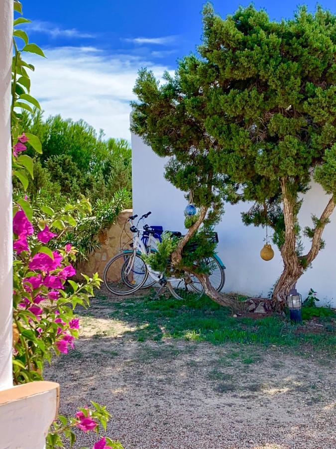 Meridium Formentera By Tentol Hotels Playa Migjorn Kültér fotó